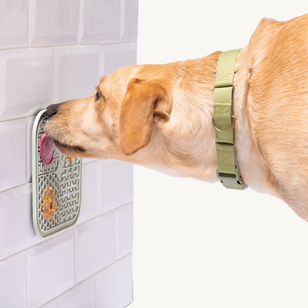 Soothing licking mat