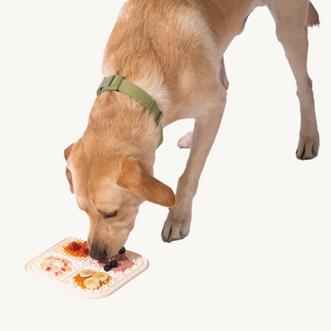 Soothing licking mat