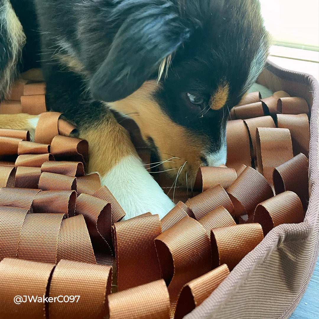STIMULATING FEEDED MAT