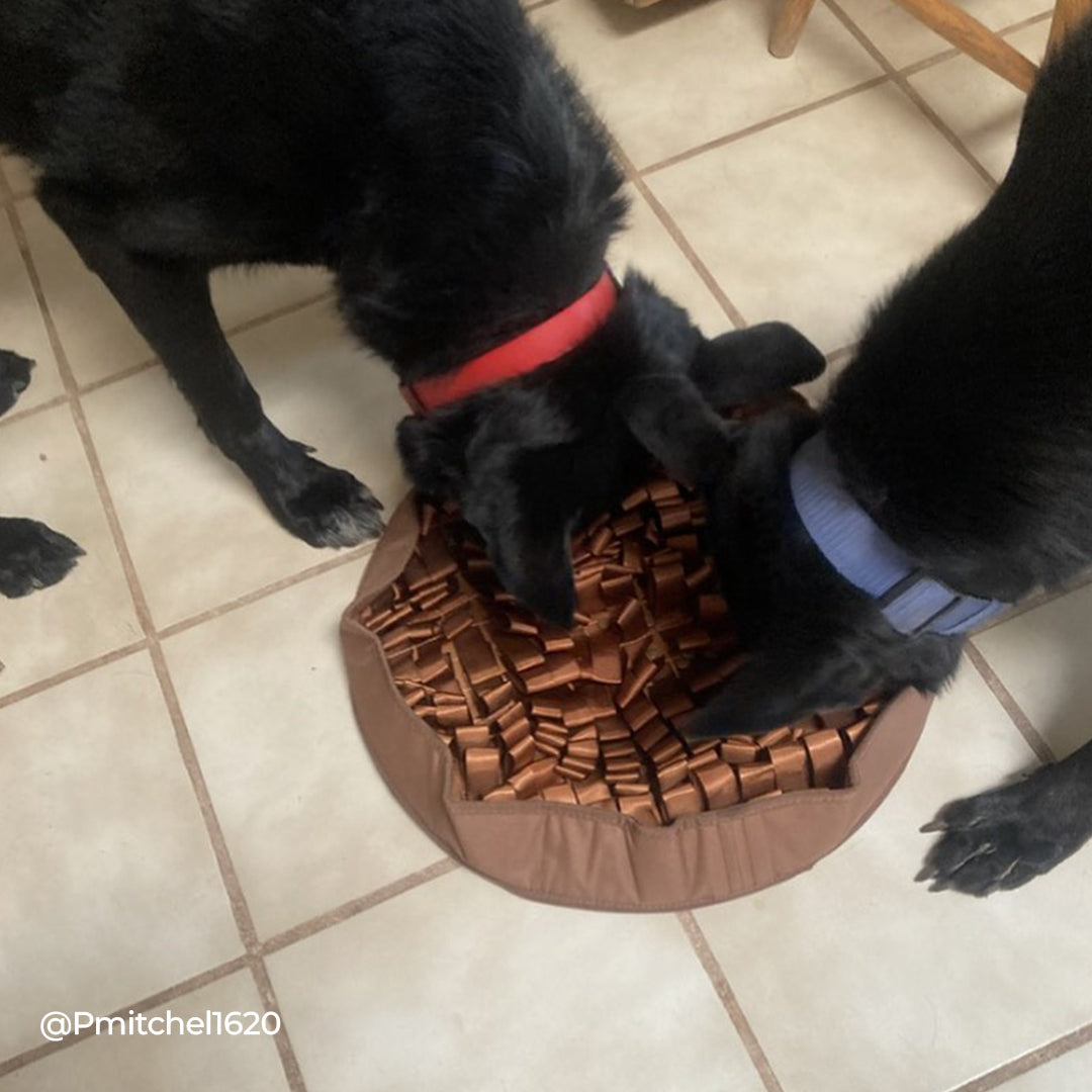 STIMULATING FEEDED MAT