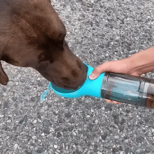 Hydration Travel Bottle