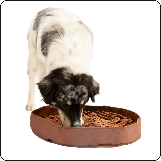 STIMULATING FEEDED MAT