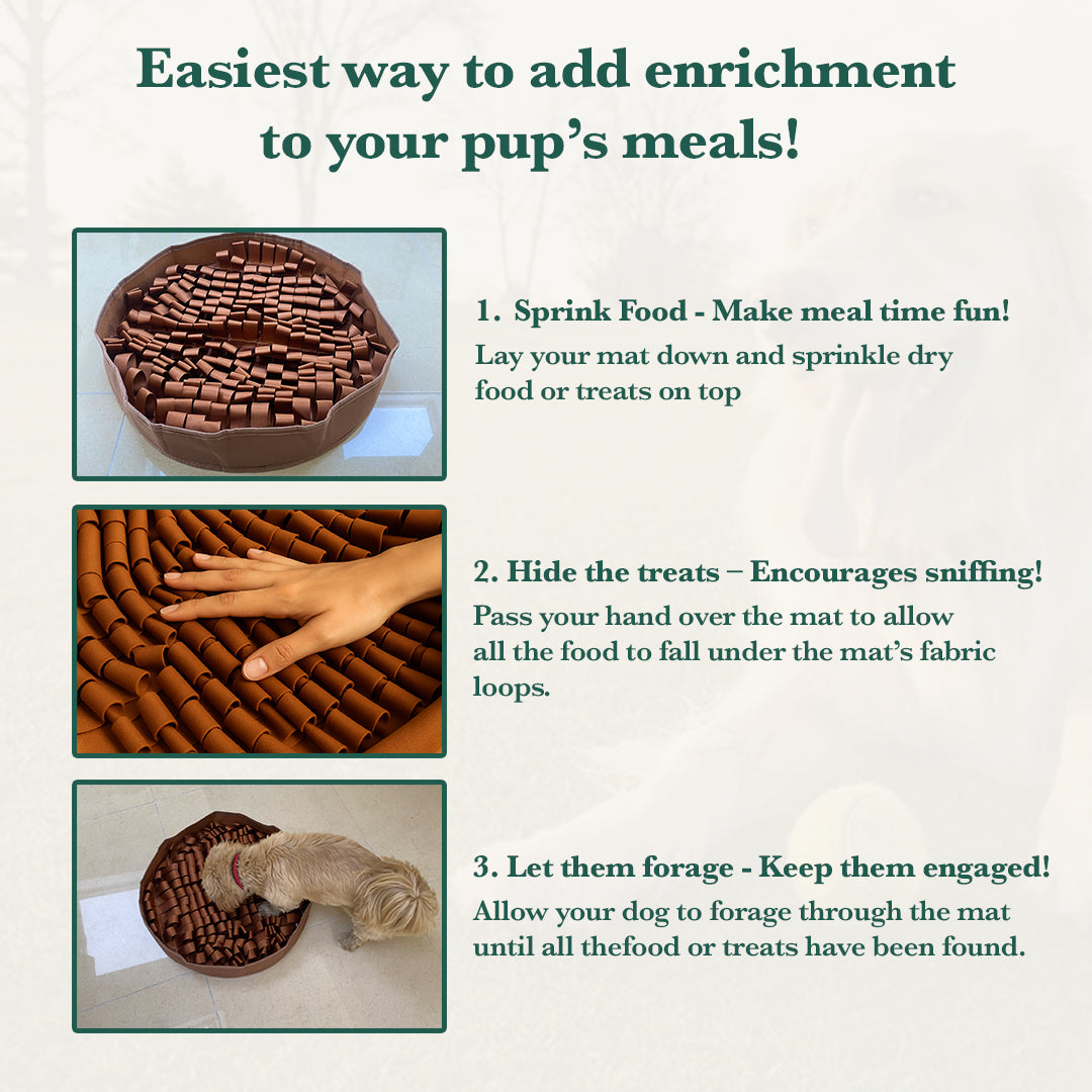 STIMULATING FEEDED MAT