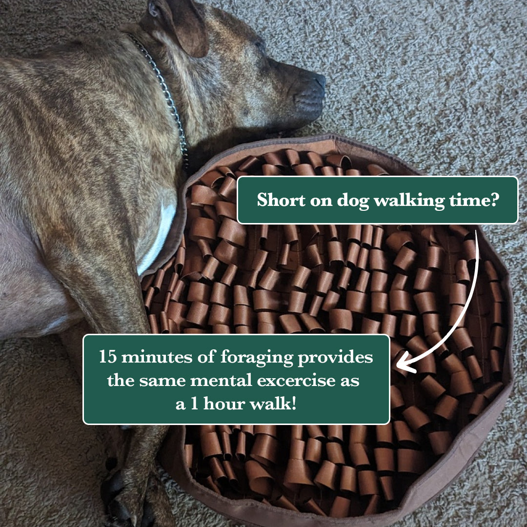 STIMULATING FEEDED MAT